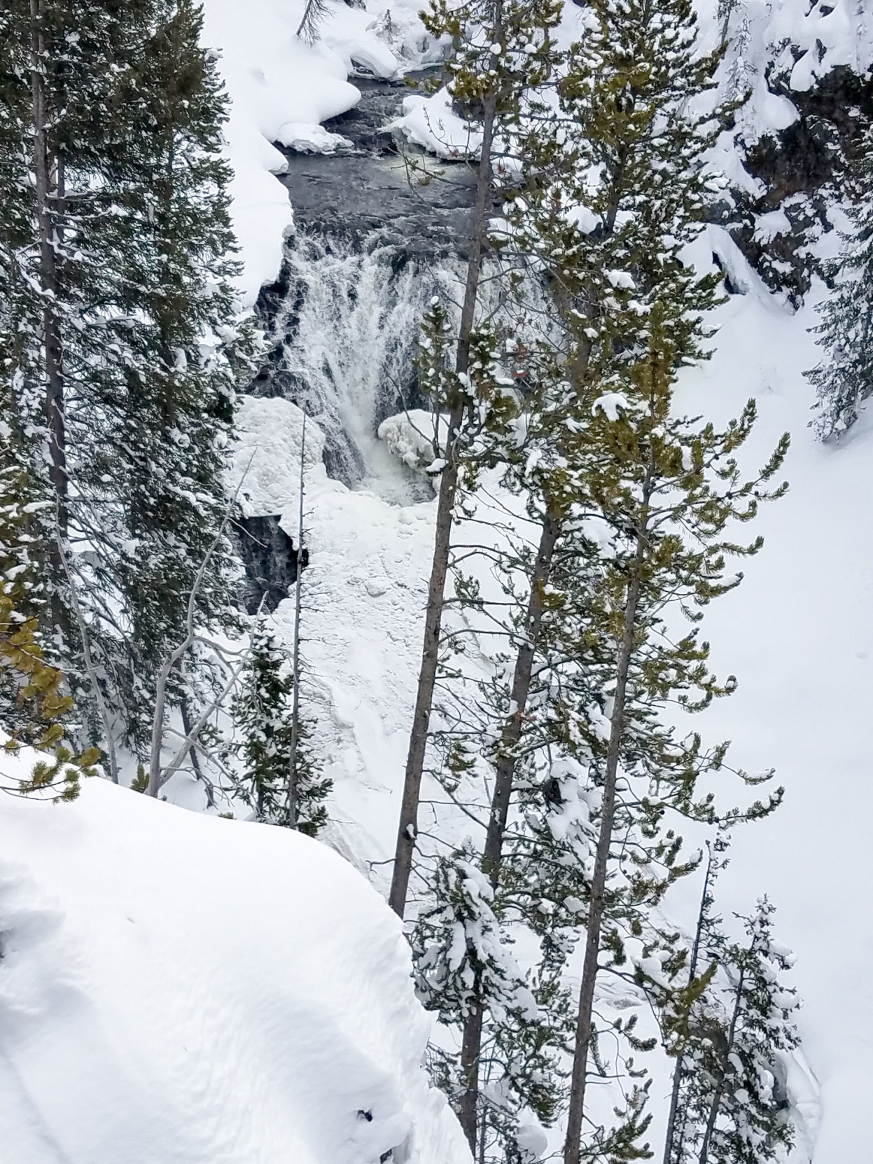 Kepler Cascades
